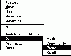 Обмен данными между Clipboard и программой MS-DOS